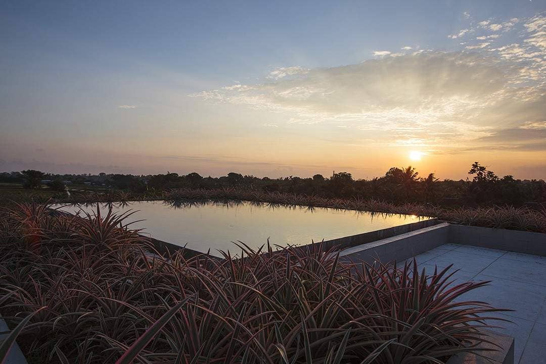 Rent villa Pulcheria, Indonesia, Bali, Changu | Villacarte