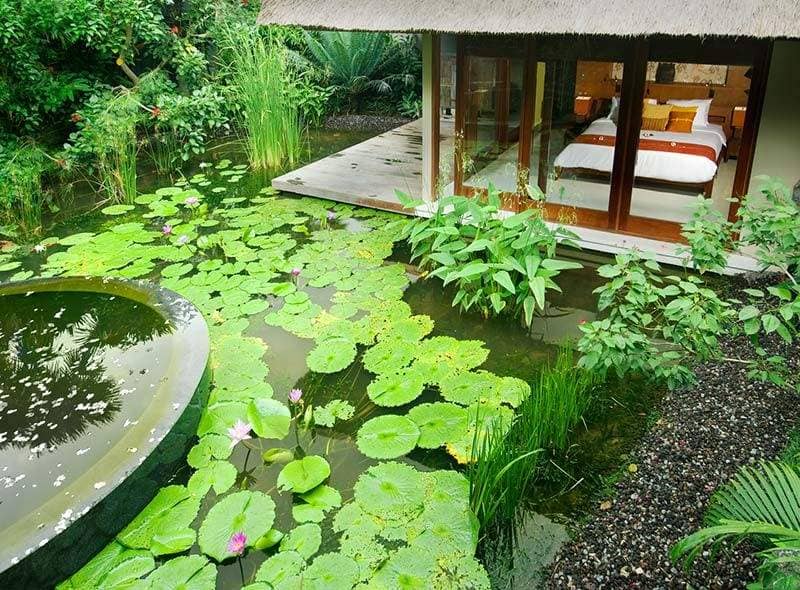 Rent villa Corliss, Indonesia, Bali, Changu | Villacarte