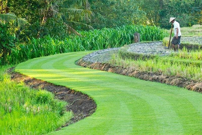 Rent villa Corliss, Indonesia, Bali, Changu | Villacarte