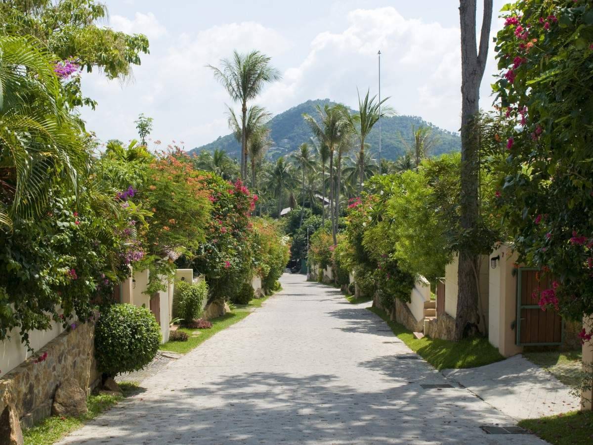 Property for Sale Plantation Villas, Thailand, Samui, Choeng Mon | Villacarte