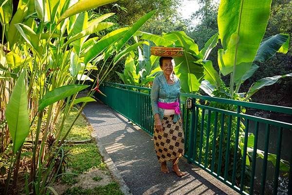 Rent villa Angelina, Indonesia, Bali, Changu | Villacarte