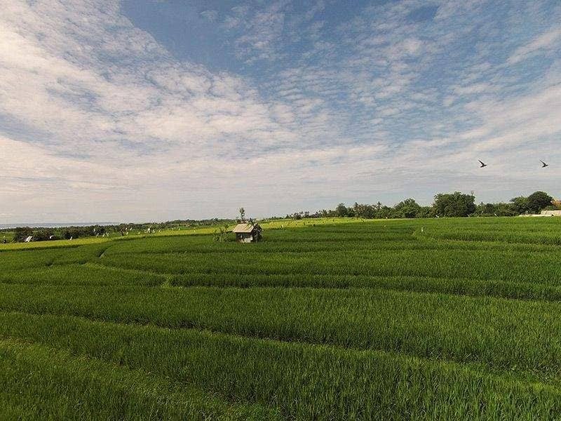Rent villa Leocadia, Indonesia, Bali, Changu | Villacarte