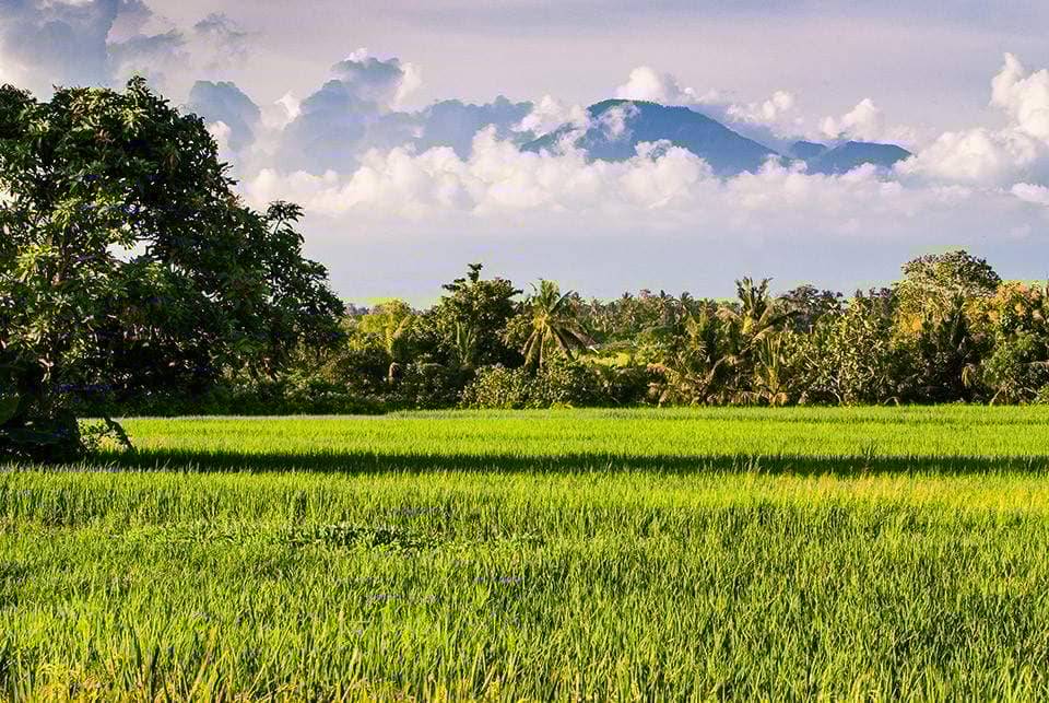 Property for Sale Seseh Beach Villas, Indonesia, Bali, Changu | Villacarte