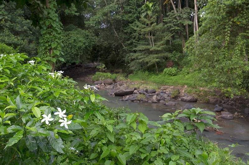 Rent villa Valletta, Indonesia, Bali, Changu | Villacarte