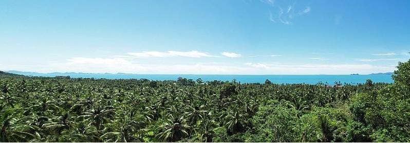 Rent villa Valletta, Thailand, Samui, Maenam | Villacarte