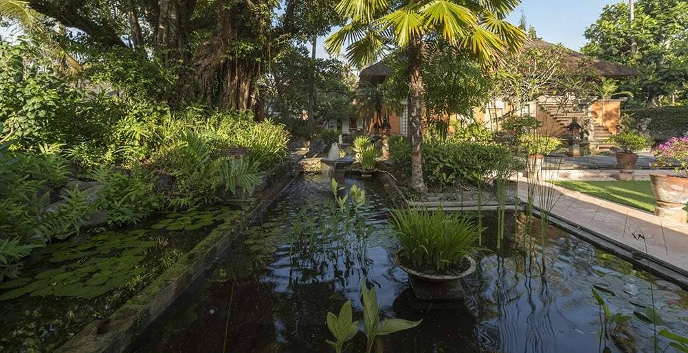 Rent villa Jesse, Indonesia, Bali, Sanur | Villacarte