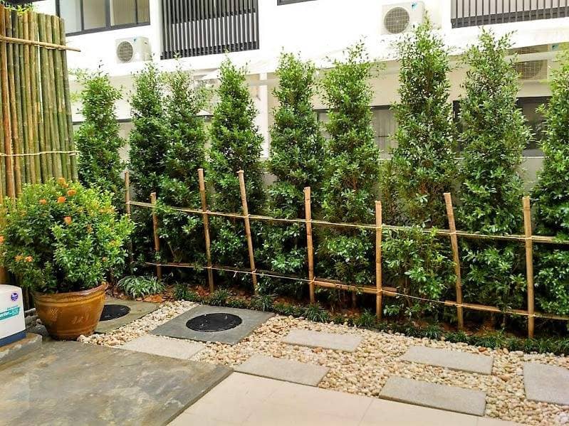 Rent townhouse Laguna Park, Thailand, Phuket, Laguna | Villacarte