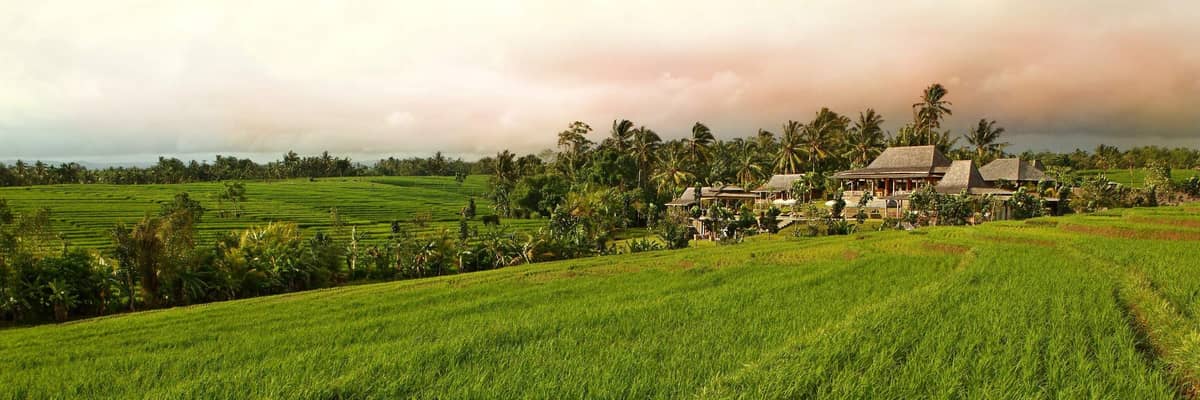 Rent villa Paletta, Indonesia, Bali, Changu | Villacarte