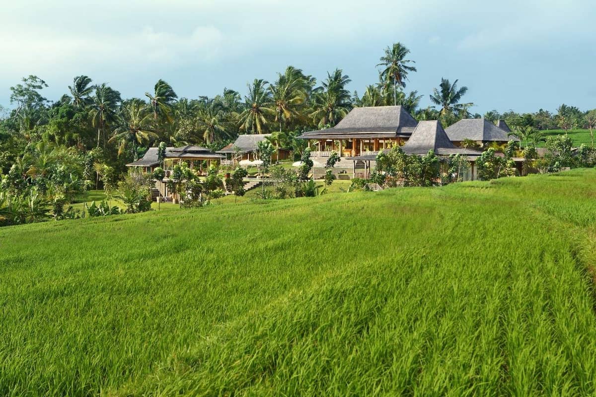Rent villa Paletta, Indonesia, Bali, Changu | Villacarte