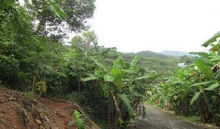 Land for Sale, Thailand, Phuket, Karon | Villacarte