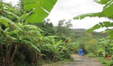 Land for Sale, Thailand, Phuket, Karon | Villacarte