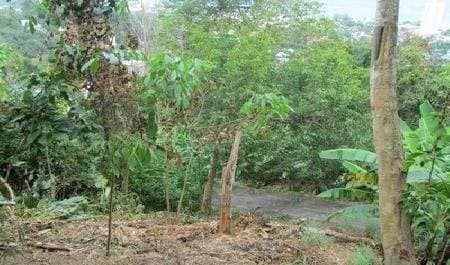 Land for Sale, Thailand, Phuket, Karon | Villacarte