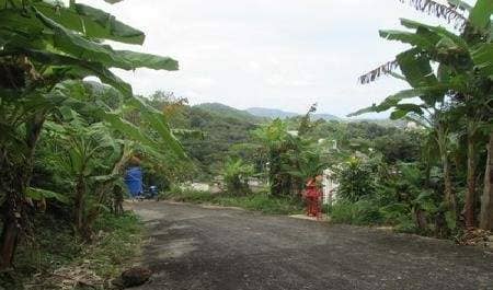 Land for Sale, Thailand, Phuket, Karon | Villacarte