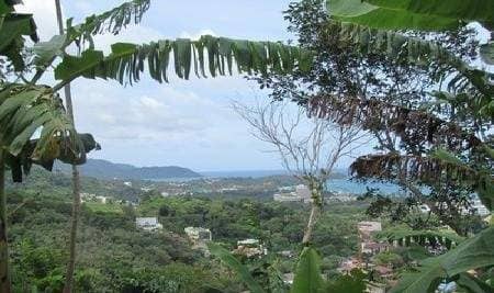 Land for Sale, Thailand, Phuket, Karon | Villacarte