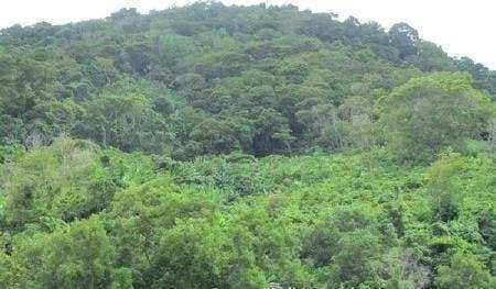 Land for Sale, Thailand, Phuket, Karon | Villacarte