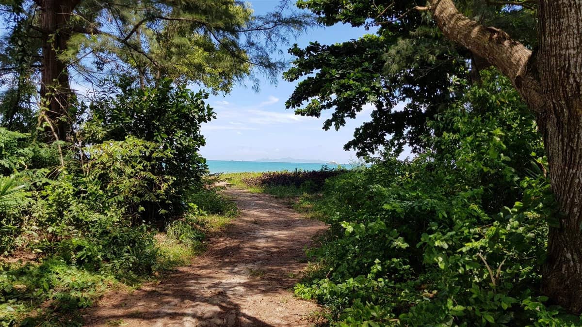 Land for Sale, Thailand, Samui, Lipa Noi | Villacarte