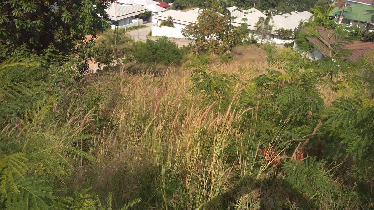 Land for Sale, Thailand, Samui, Choeng Mon | Villacarte