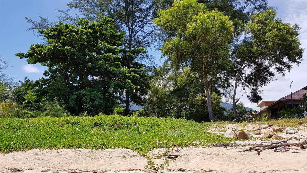 Land for Sale, Thailand, Samui, Lipa Noi | Villacarte