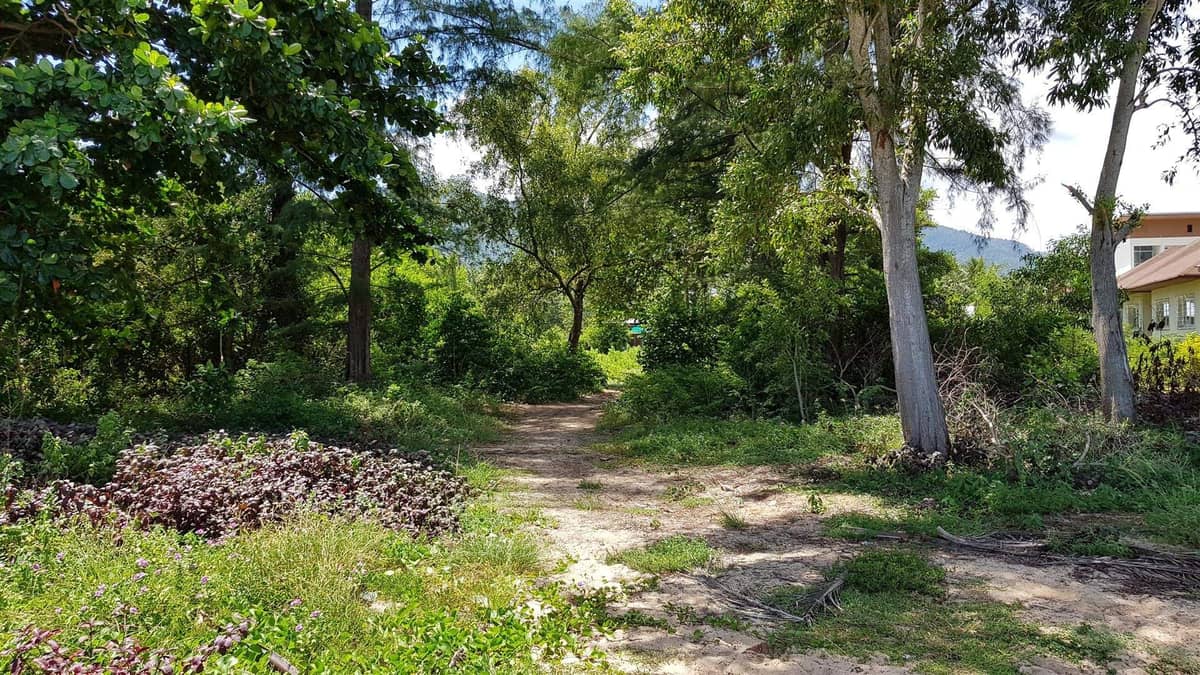 Land for Sale, Thailand, Samui, Lipa Noi | Villacarte