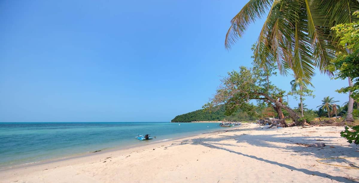 Rent villa Sylvia, Thailand, Samui, Lipa Noi | Villacarte