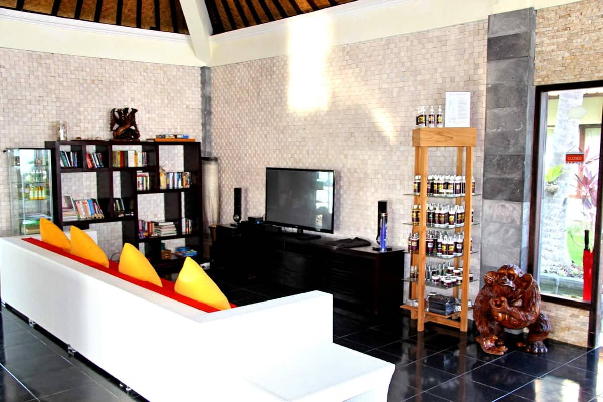 Hotel for Sale Iolanta, Indonesia, Bali, Lovina | Villacarte
