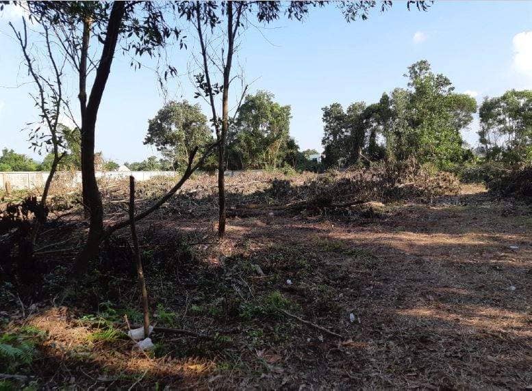 Land for Sale, Thailand, Phuket, Bang Tao | Villacarte