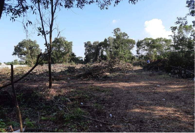 Land for Sale, Thailand, Phuket, Bang Tao | Villacarte