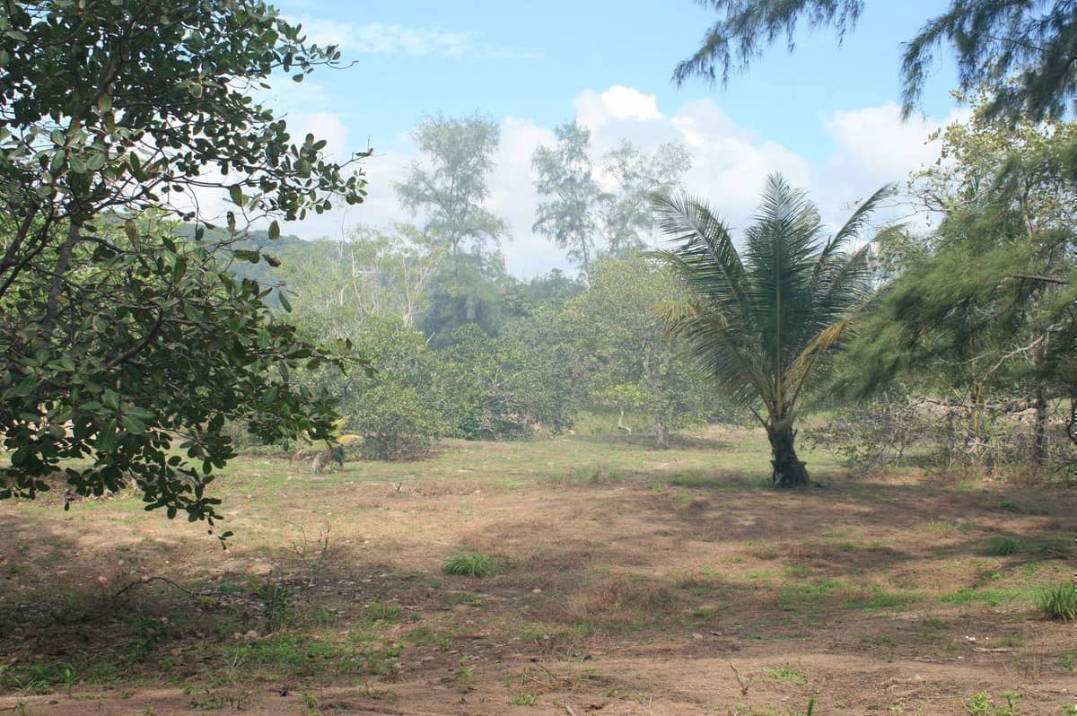 Land for Sale, Thailand, Phuket, Bang Tao | Villacarte