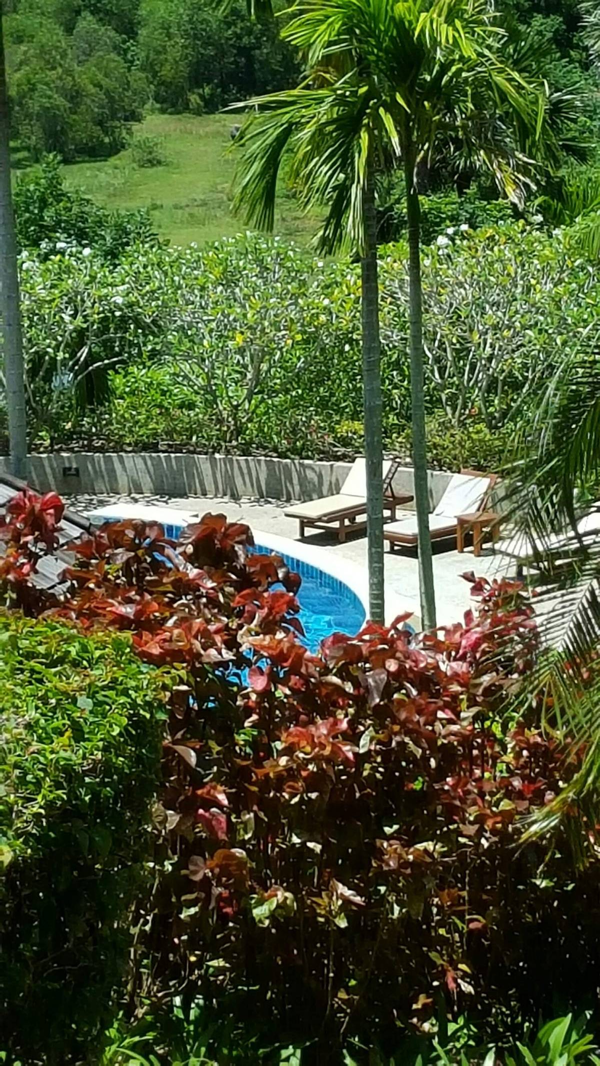 Продажа недвижимости Layan Gardens, Таиланд, Пхукет, Банг Тао | Villacarte