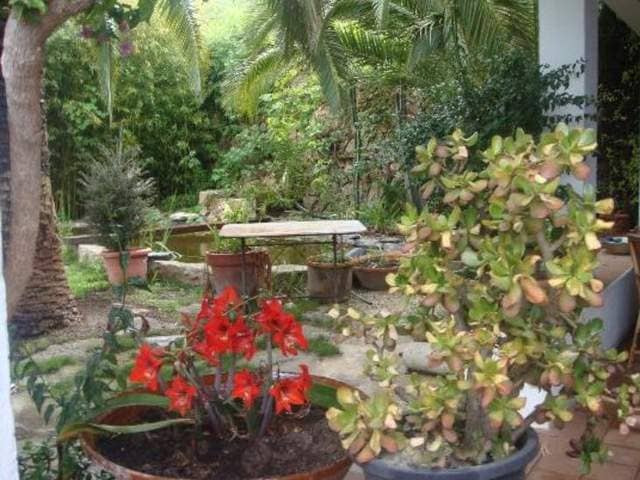 Продажа отеля Liliana, Испания, Коста Бланка, Кальпе | Villacarte