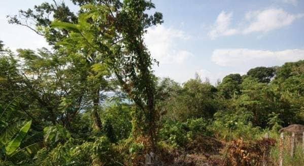 Land for Sale, Thailand, Phuket, Kamala | Villacarte