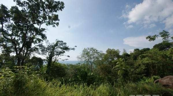 Land for Sale, Thailand, Phuket, Kamala | Villacarte