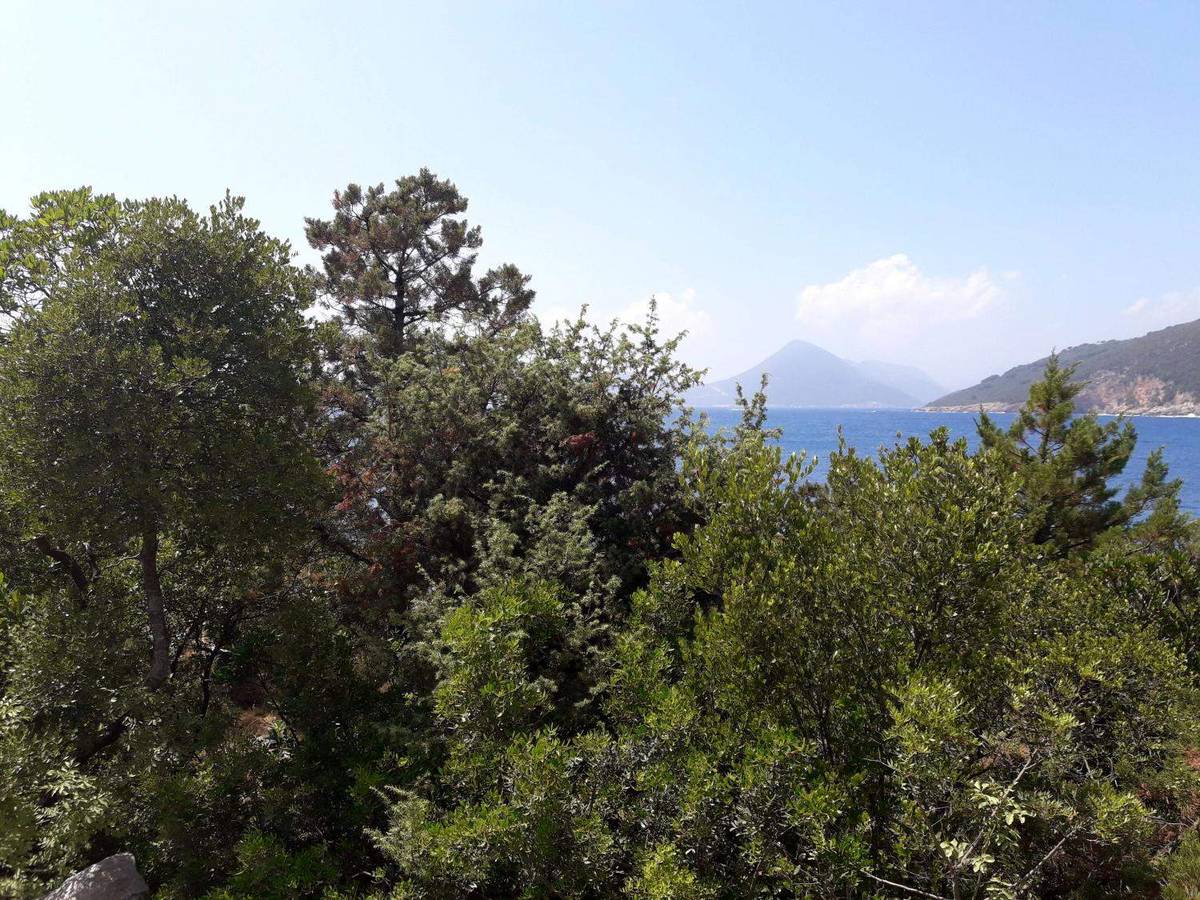 Продажа земельных участков, Черногория, Полуостров Луштица, Жанице | Villacarte