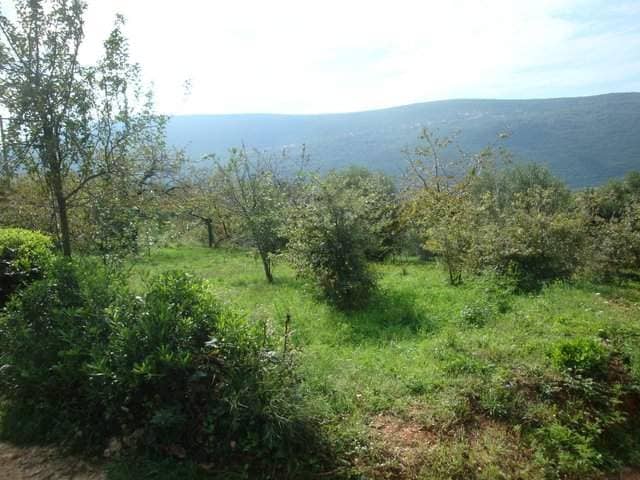 Land for Sale, Montenegro, Herceg Novi region, Kumbor | Villacarte