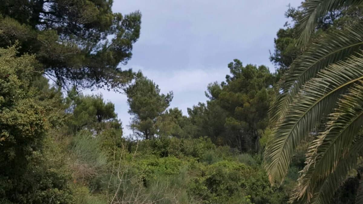 Land for Sale, Montenegro, Ulcinj region, Ulcinj | Villacarte