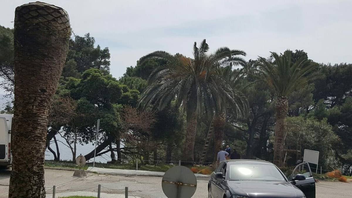 Land for Sale, Montenegro, Ulcinj region, Ulcinj | Villacarte