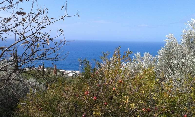 Land for Sale, Montenegro, Budva region, Rezevici | Villacarte