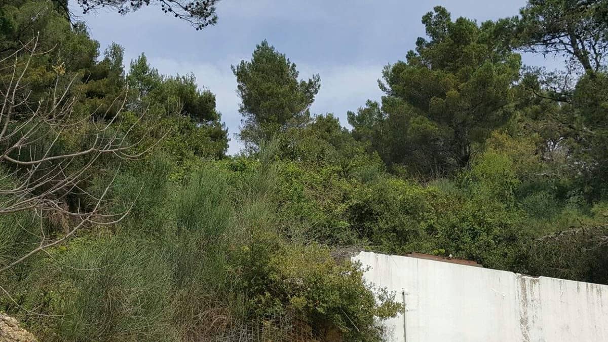 Land for Sale, Montenegro, Ulcinj region, Ulcinj | Villacarte