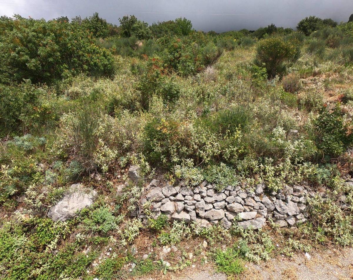 Land for Sale, Montenegro, Bar region, Dobra Voda | Villacarte