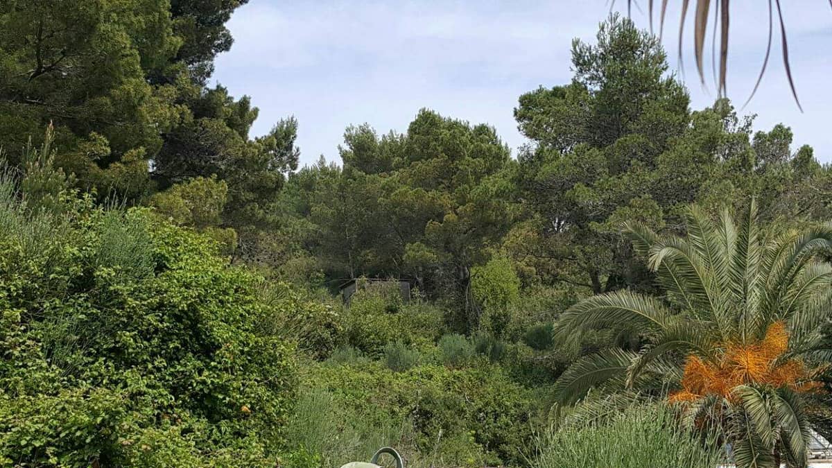 Land for Sale, Montenegro, Ulcinj region, Ulcinj | Villacarte
