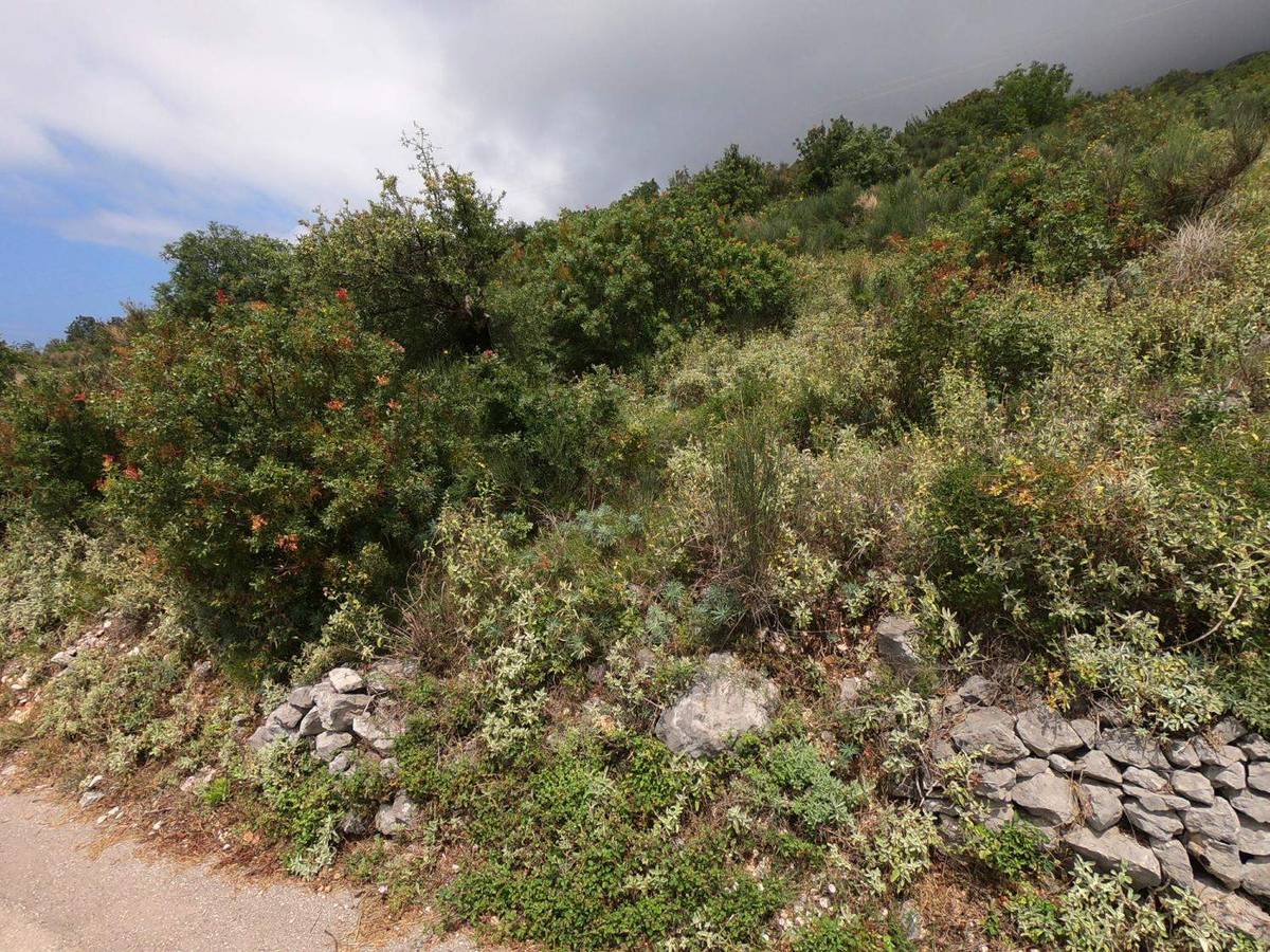 Land for Sale, Montenegro, Bar region, Dobra Voda | Villacarte