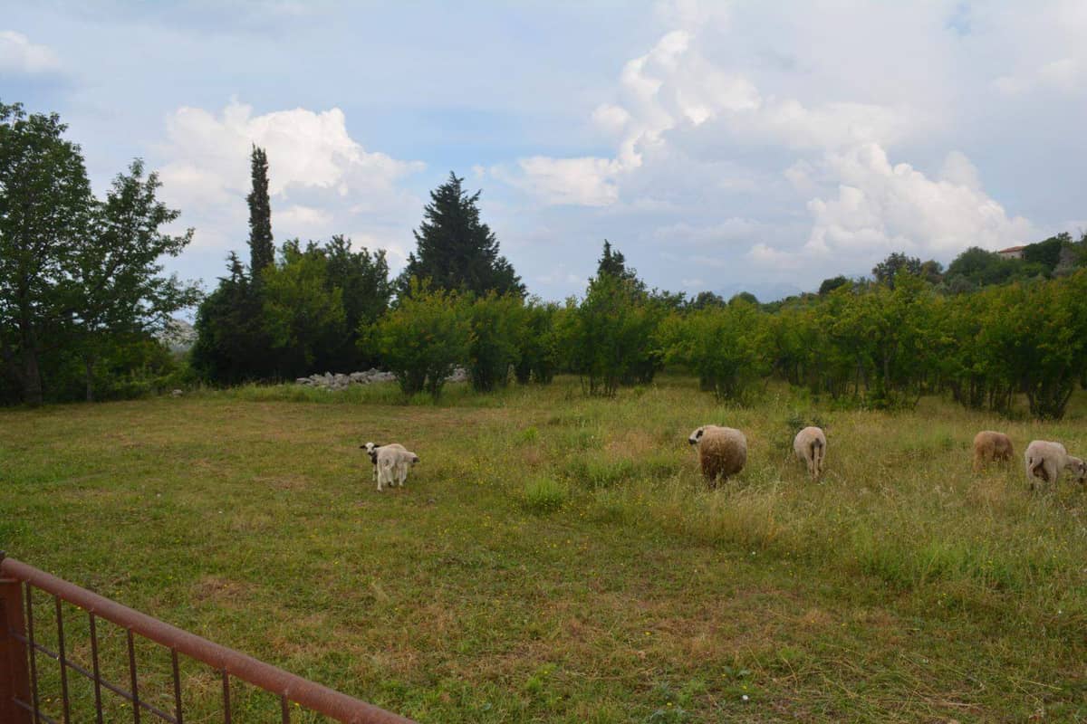 Продажа земельных участков, Черногория, Барский регион, Добра Вода | Villacarte