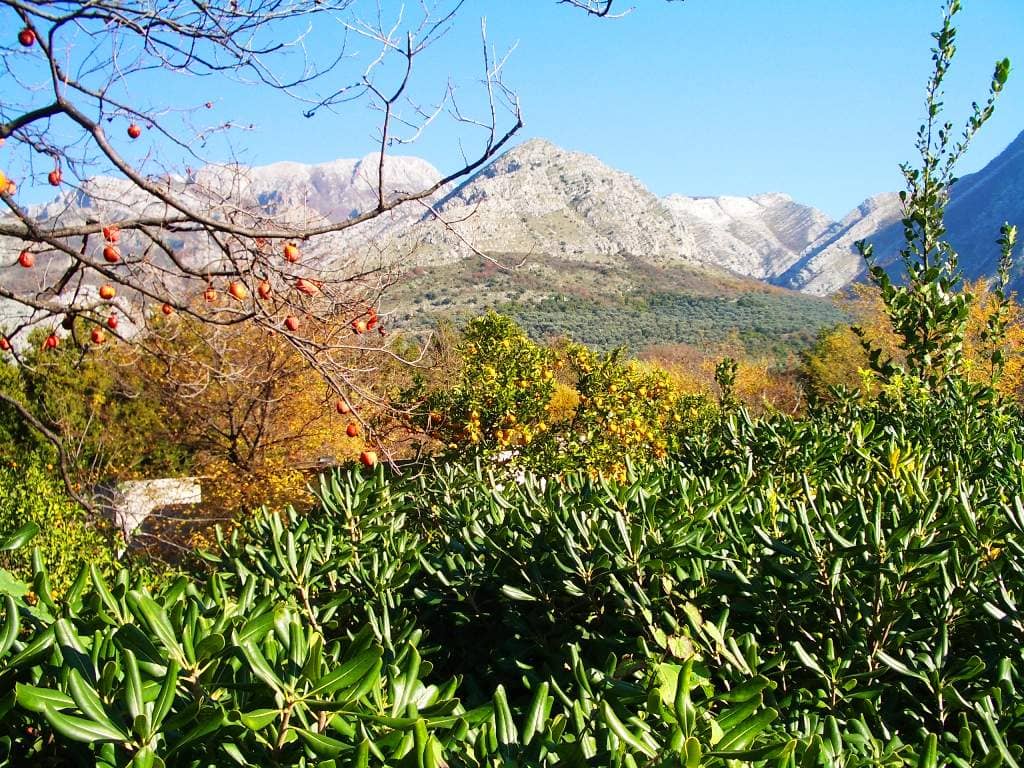 Продажа земельных участков, Черногория, Барский регион, Бар | Villacarte