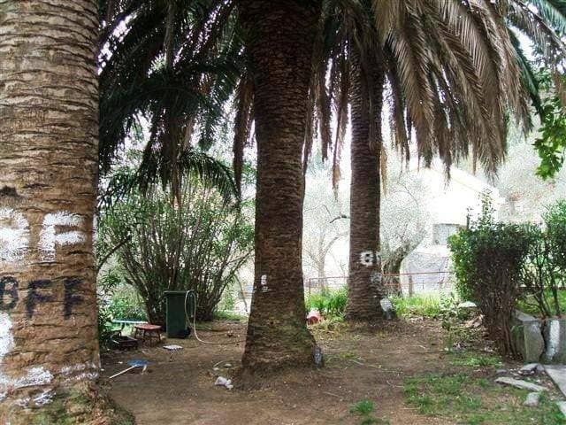 Land for Sale, Montenegro, Budva region, Becici | Villacarte
