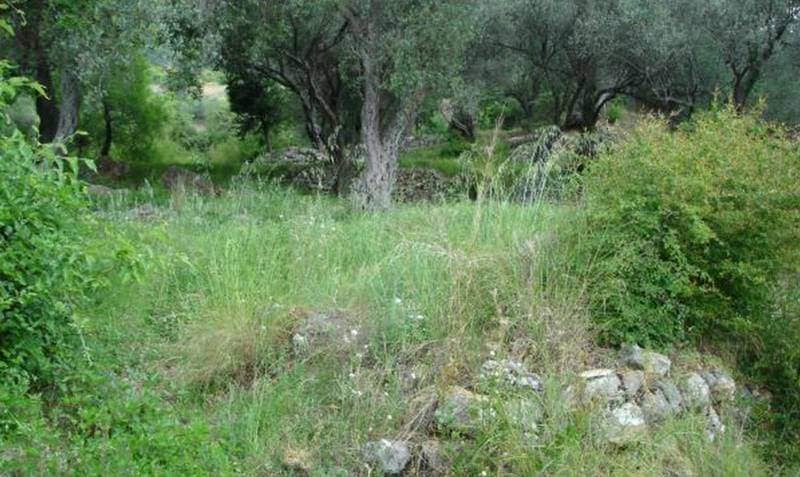 Land for Sale, Montenegro, Tivat region, Tivat | Villacarte