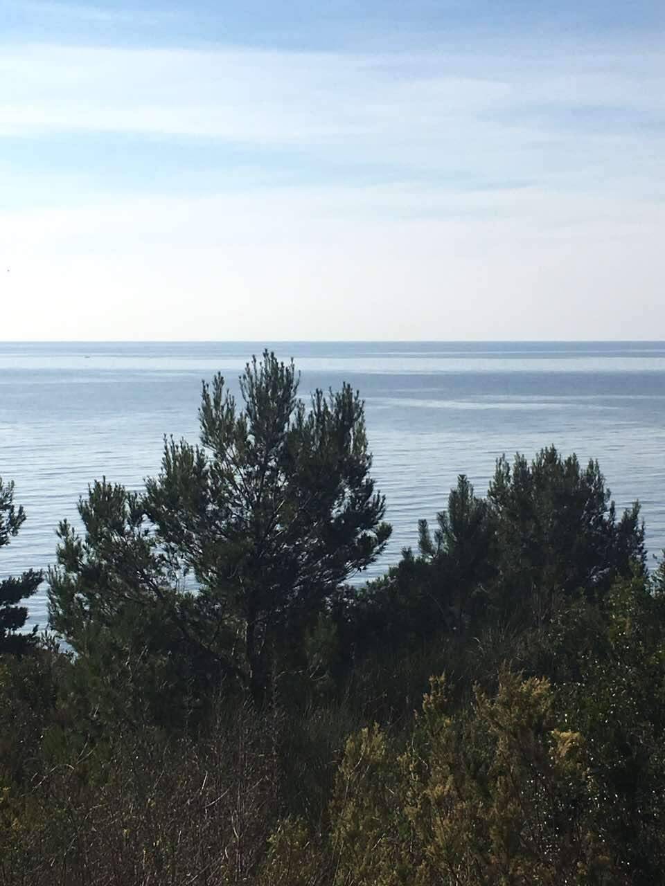 Land for Sale, Montenegro, Budva region, Sv. Stefan | Villacarte