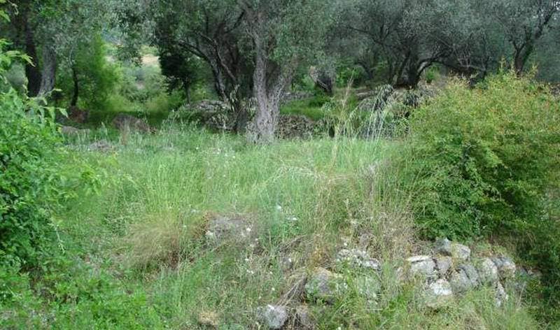 Land for Sale, Montenegro, Tivat region, Tivat | Villacarte