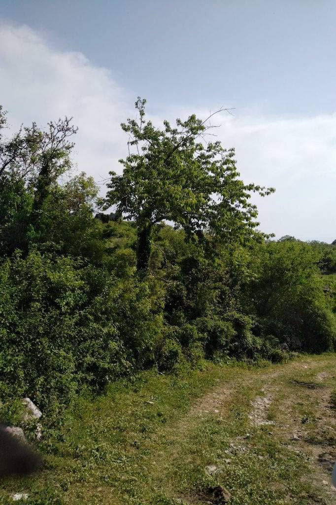 Land for Sale, Montenegro, Budva region, Sv. Stefan | Villacarte