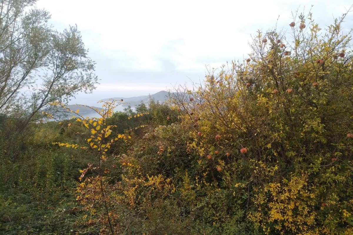 Land for Sale, Montenegro, Budva region, Sv. Stefan | Villacarte