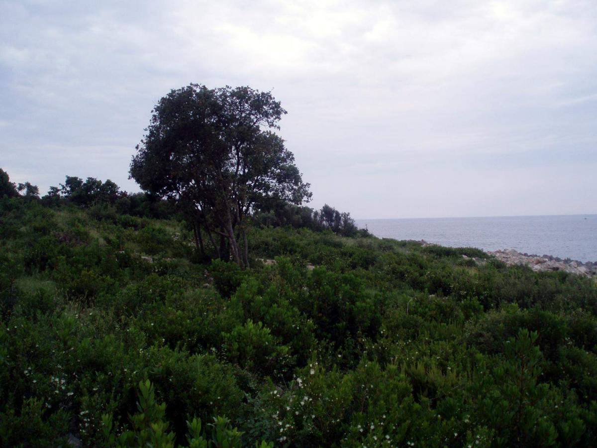 Land for Sale, Montenegro, Lustica Peninsula, Bigova | Villacarte